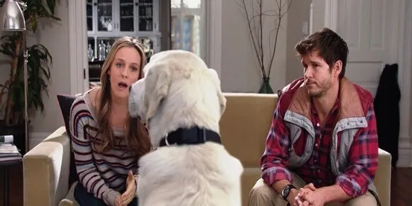 Who Gets the Dog?