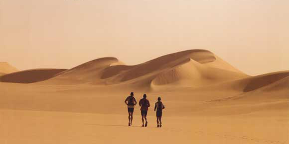 movie poster for running the sahara