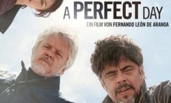 A Perfect Day