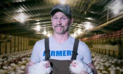 Super Size Me 2: Holy Chicken